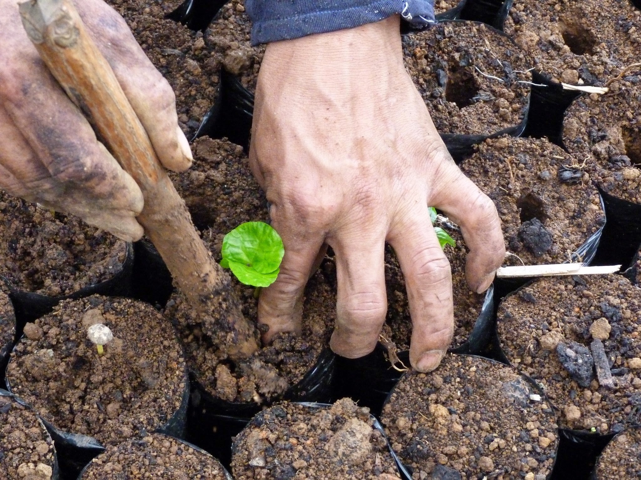 New Beginnings at Finca La Maria