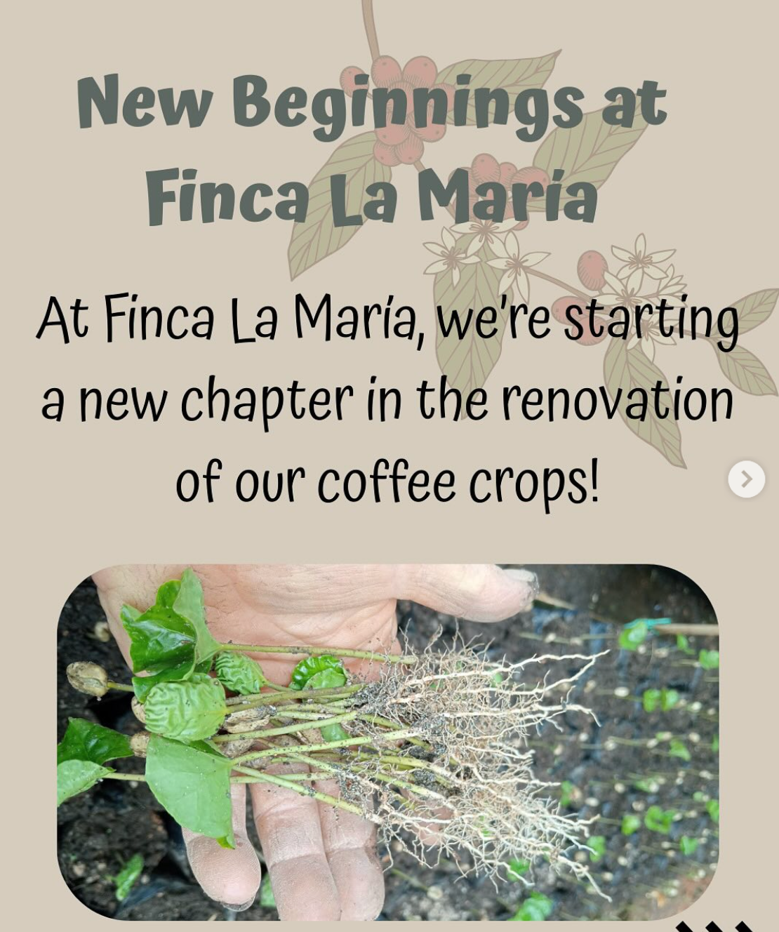 New Beginnings at Finca La Maria