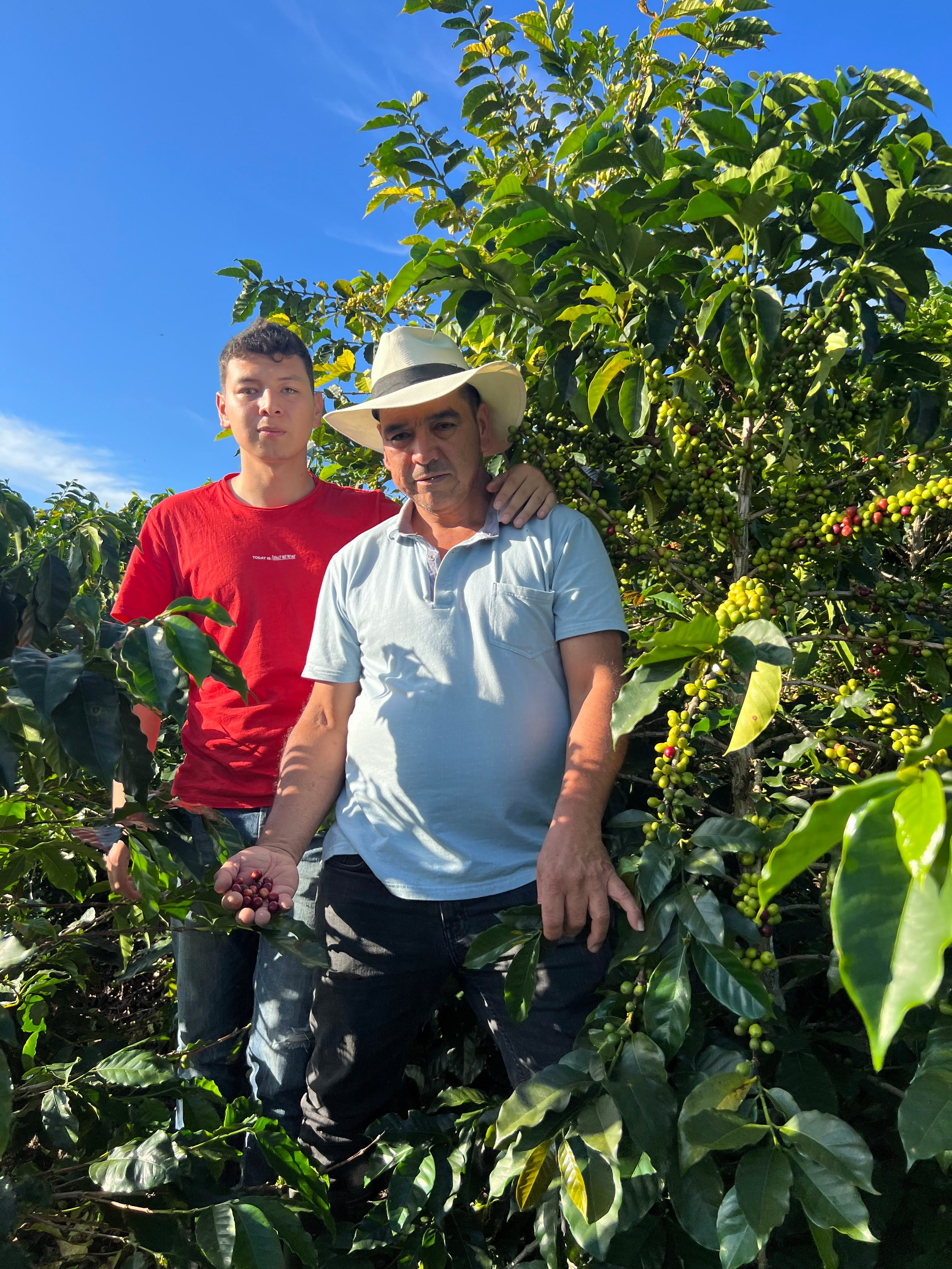 Finca Buenos Aires
