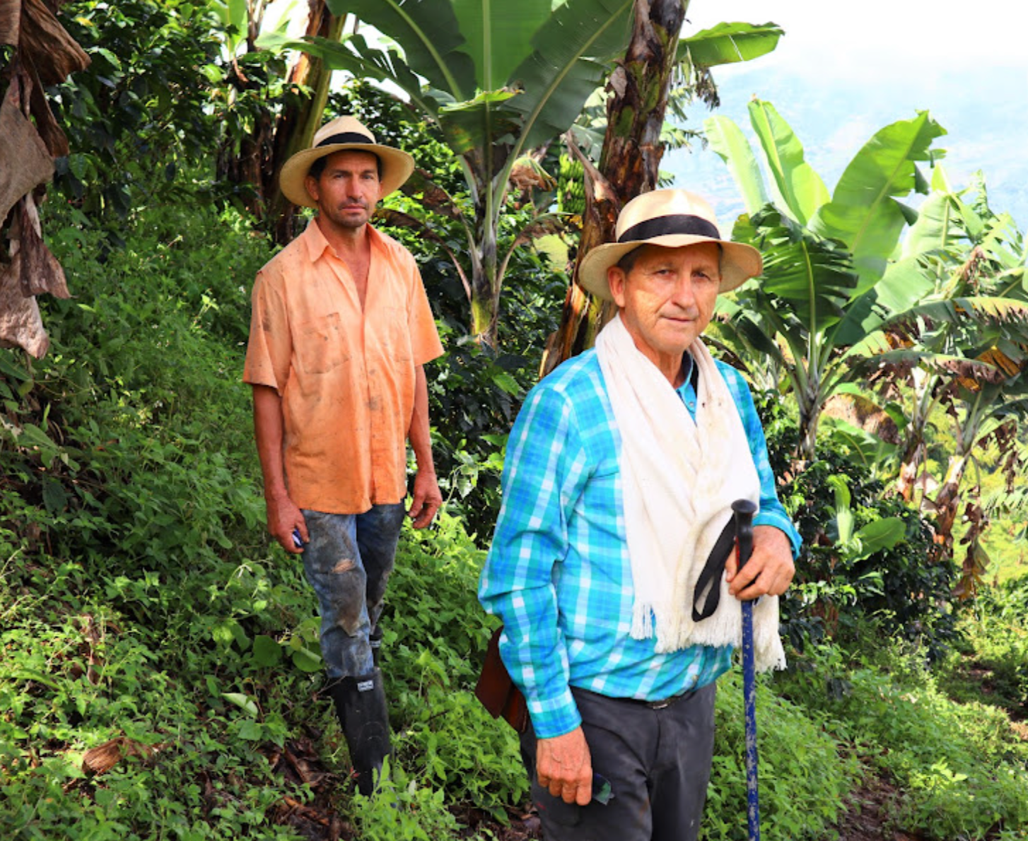 Finca La Cordillera