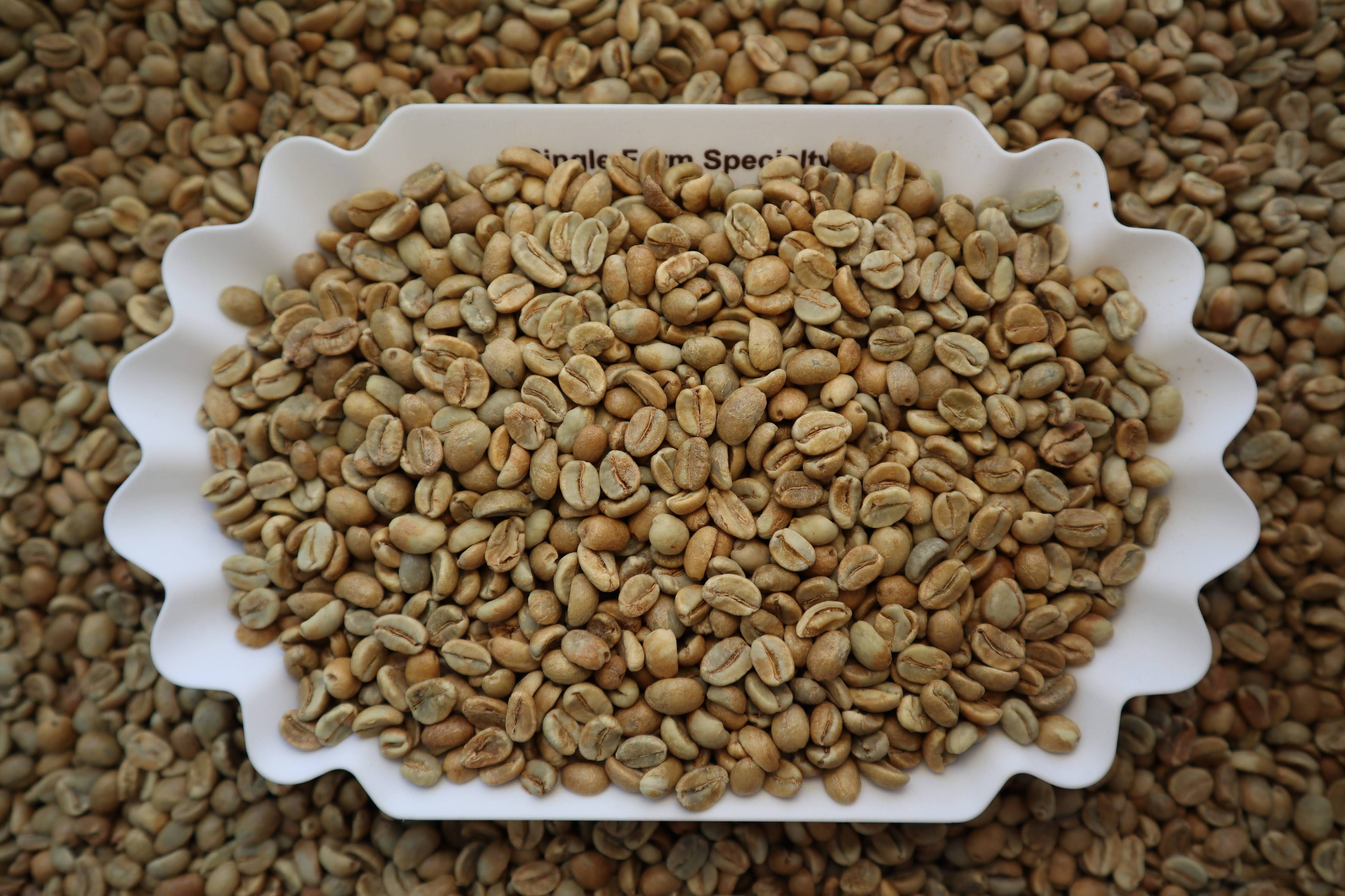 Buenos Aires Natural