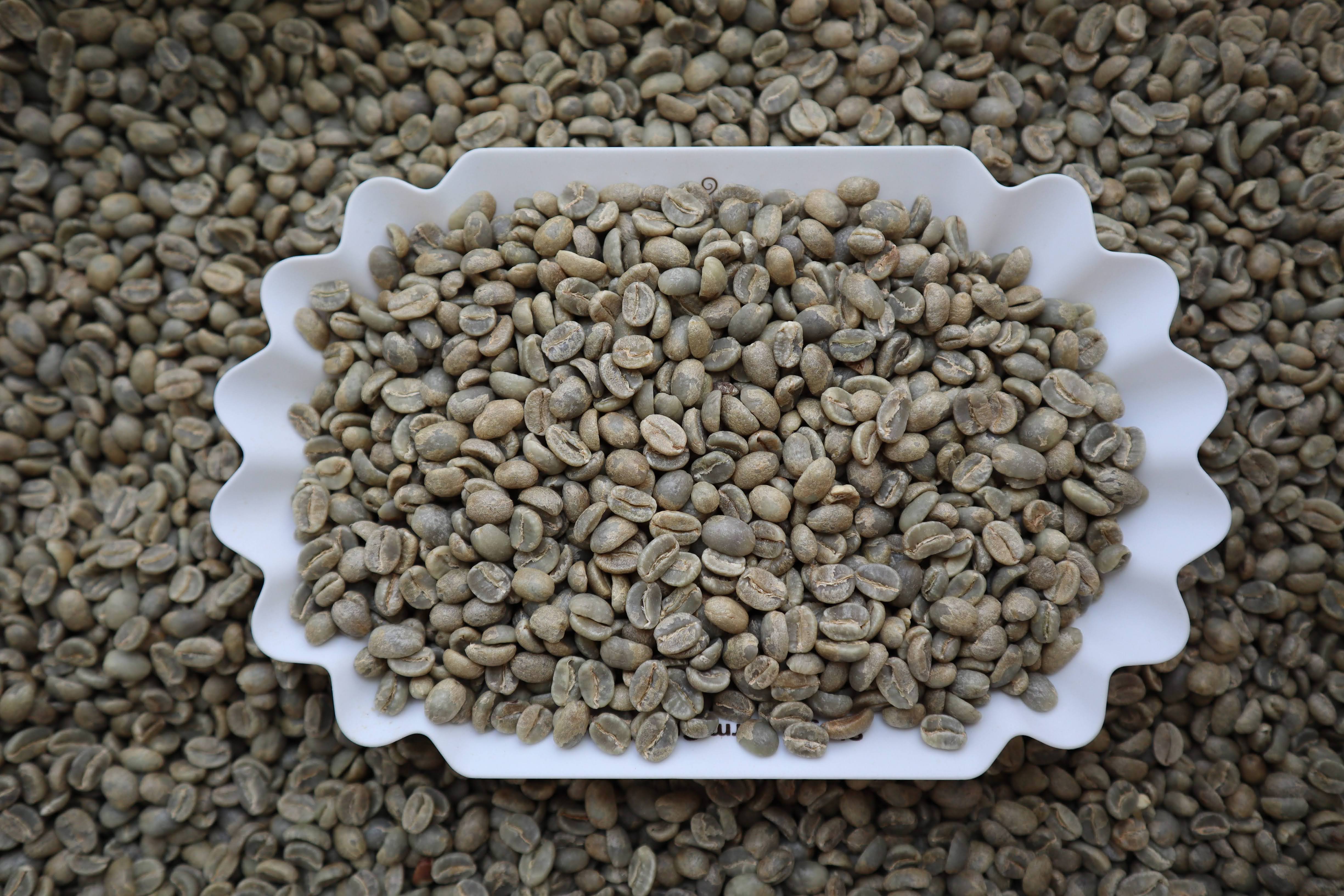 Huila Regional Washed