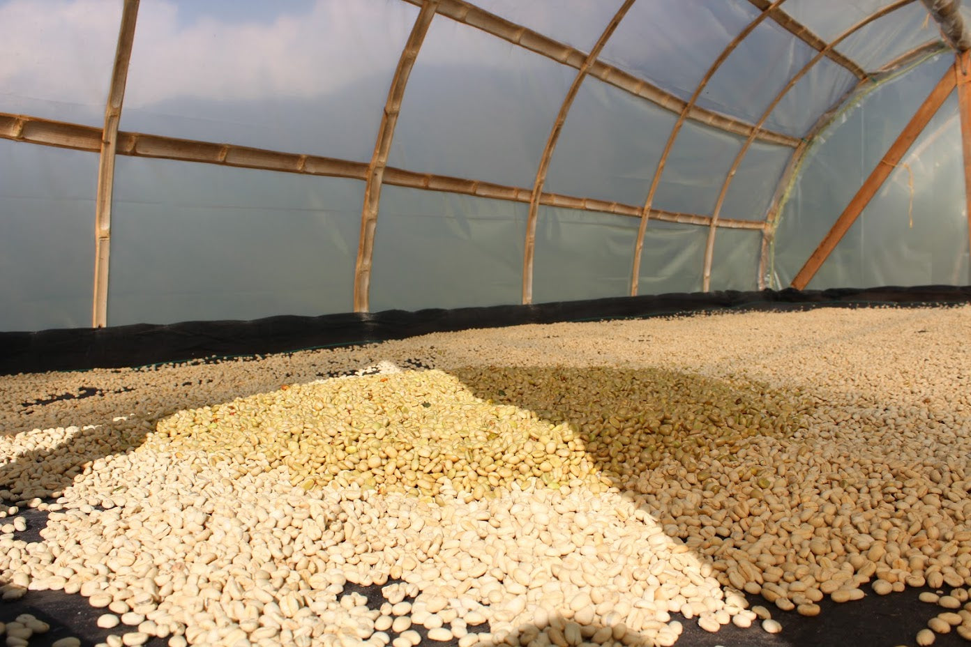 El Bolson Microlot