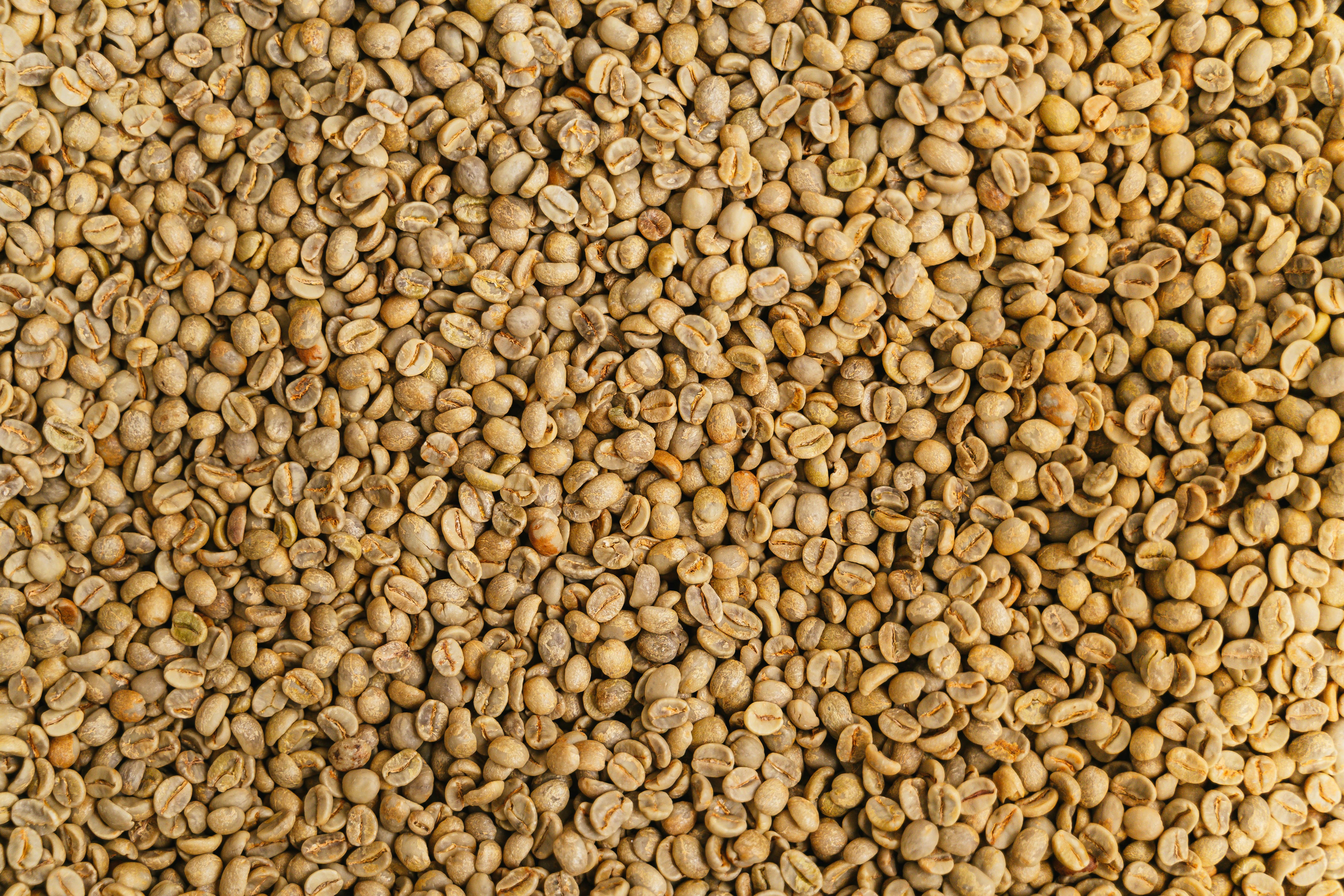 Esperanza (Honey)